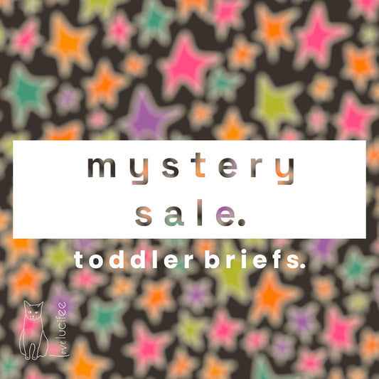Toddler Mystery Briefs